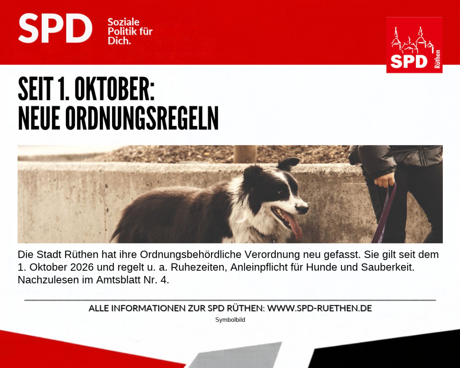 Neue Ordnungsregeln für Hundehalte